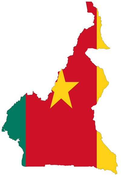 Viettel thắng thầu giấy phép viễn thông  tại Cameroon